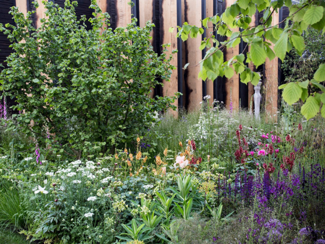 Cultivating Calm: Designing a Therapeutic Sensory Garden