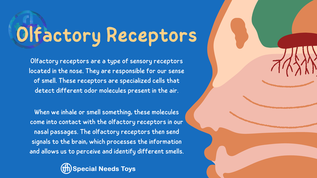 The Power of Smell: Enhancing Memory and Sensory Processing in Long-Term Care
