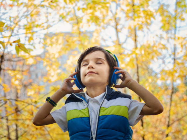 Understanding Our Auditory System and Therapeutic Listening