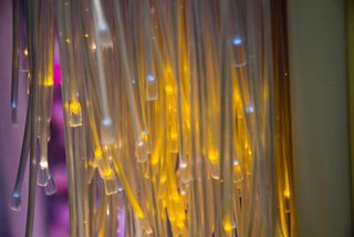 Fiber Optics
