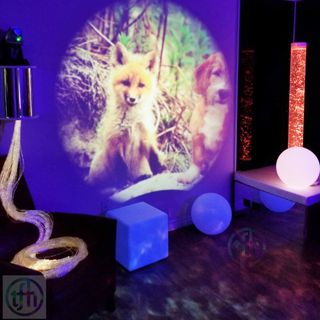 Sensory Room Equipment