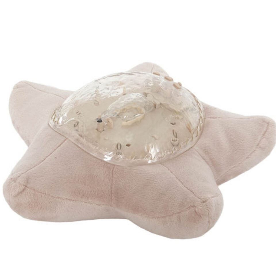 Tranquil Zen Lotus 
