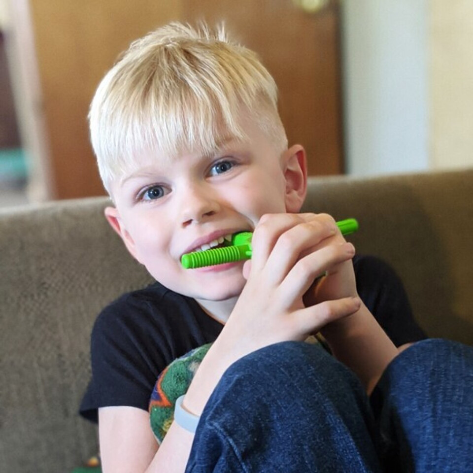 ARK'S Tetra-Bite® Chewy Fidget Lime Green (Very Firm)