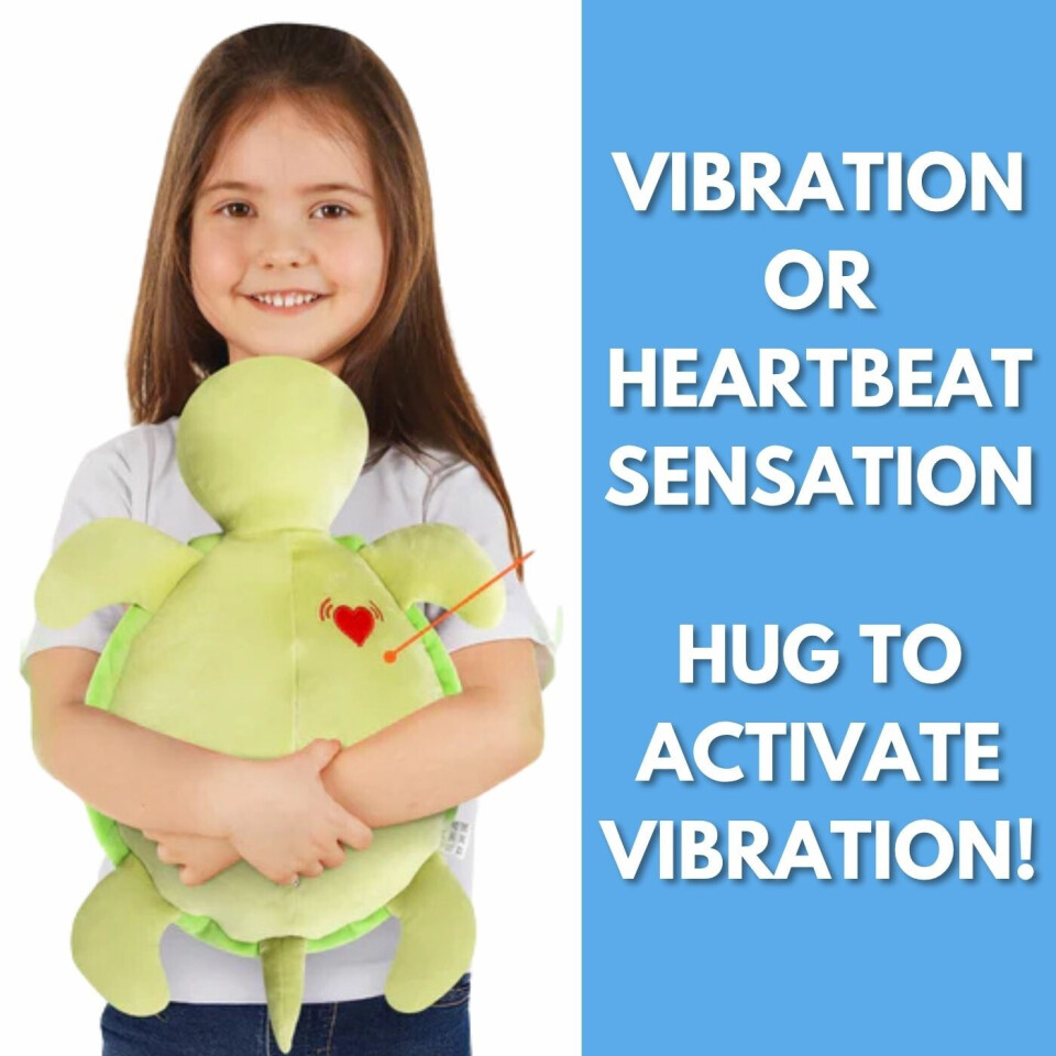 Sensory Vibrating Turtle