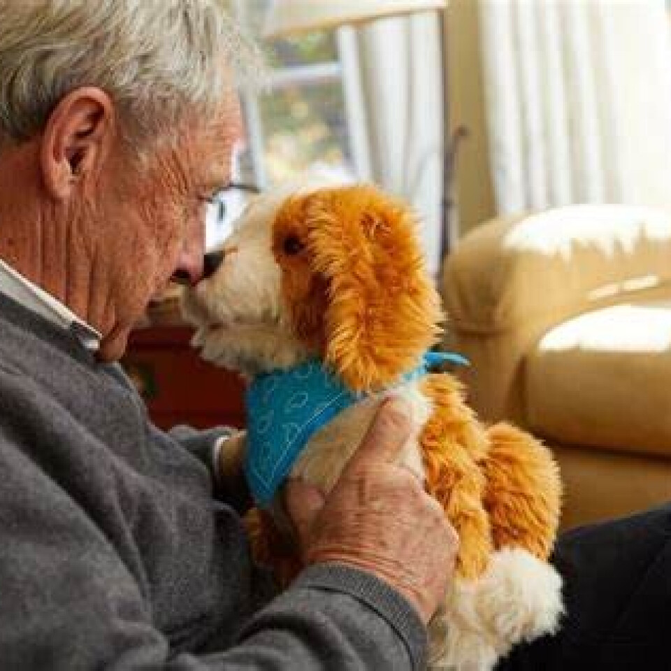Companion Dog Cuddly Toy