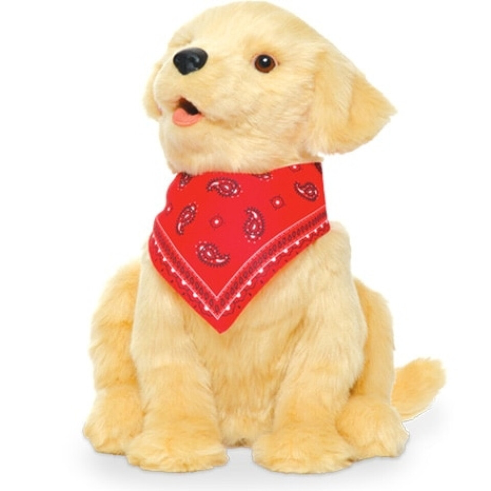 Companion Dog Cuddly Toy