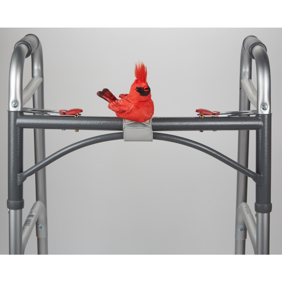 Cardinal - Walker Squarker      
