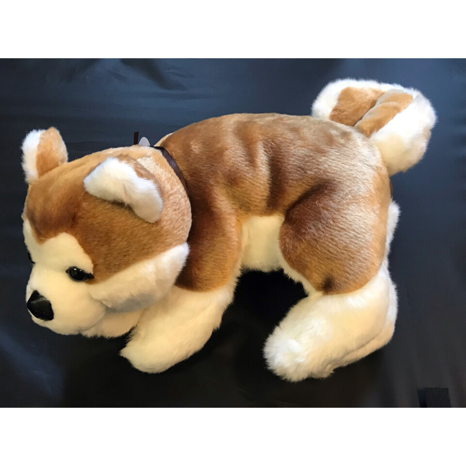 Hello Doggie