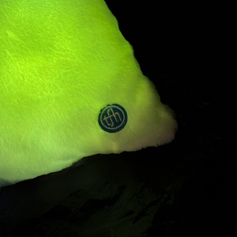 Moonlight Cushion