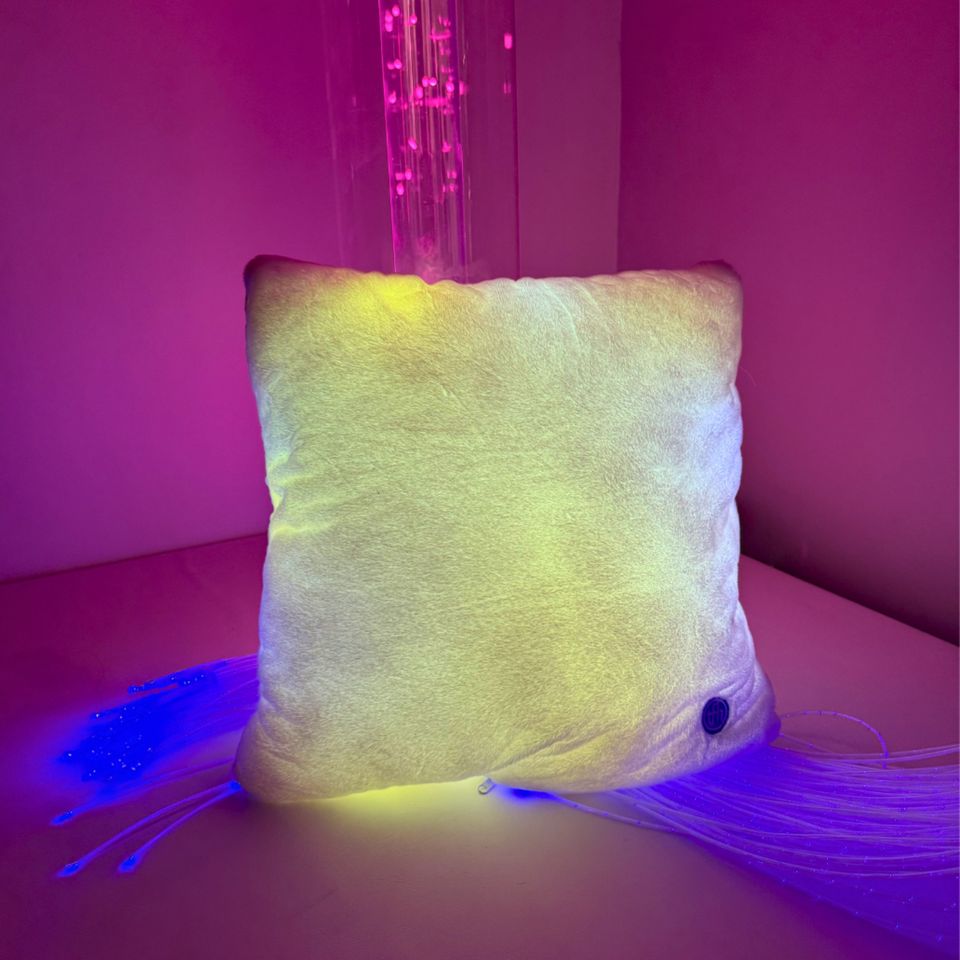 Moonlight Illuminated Soft Cushion