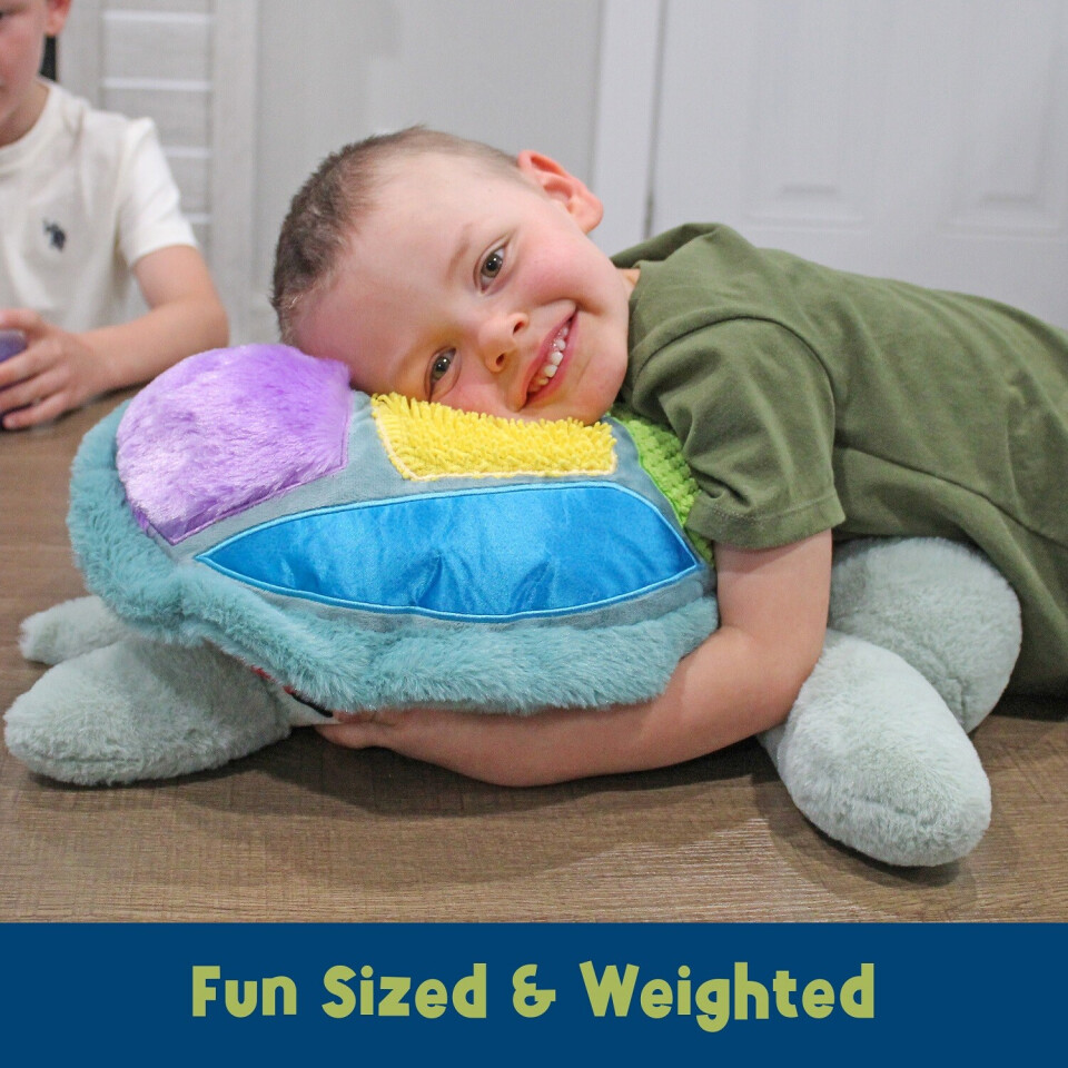 Sunny the Weighted Sensory Turtle