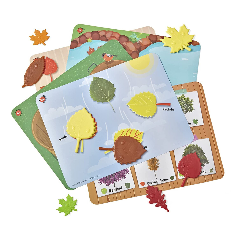 Sensory Leaves Math Activity Set - LIMITED SUPPLY
