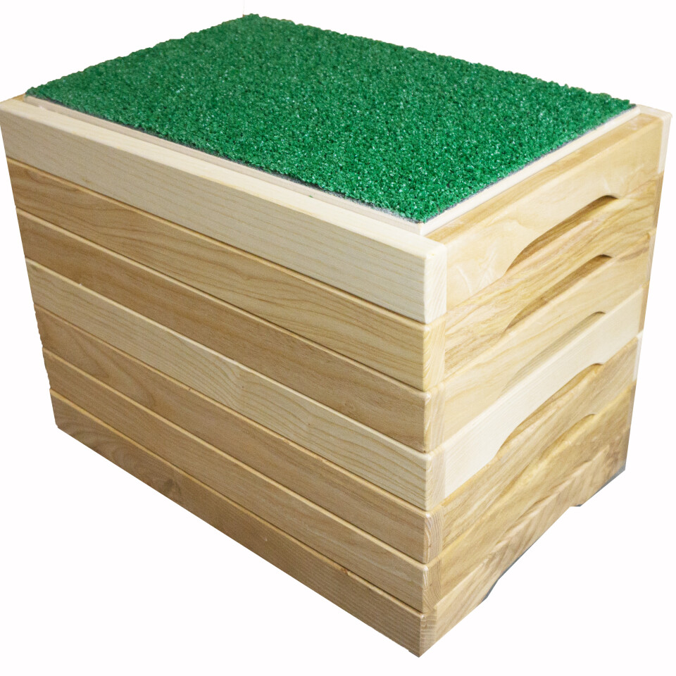 Tactile Walkway 
