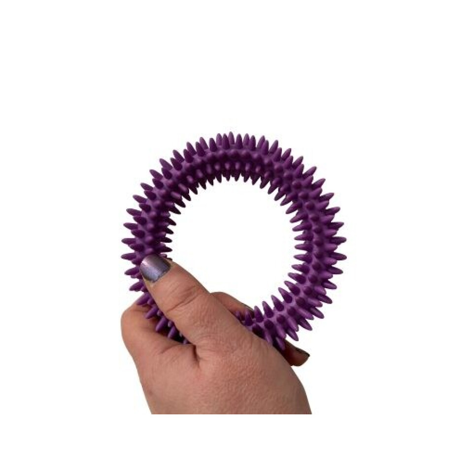 Sensory Flexi Ring Toy