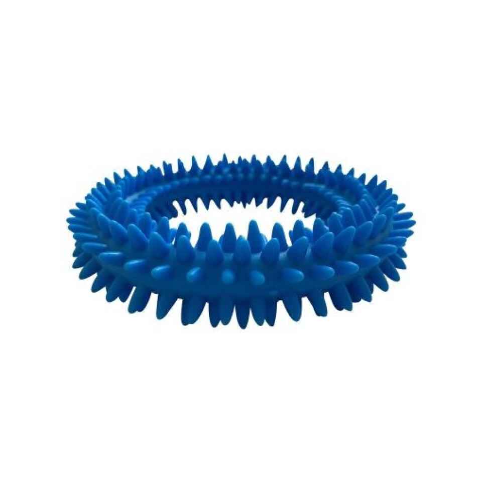 Sensory Flexi Ring Toy