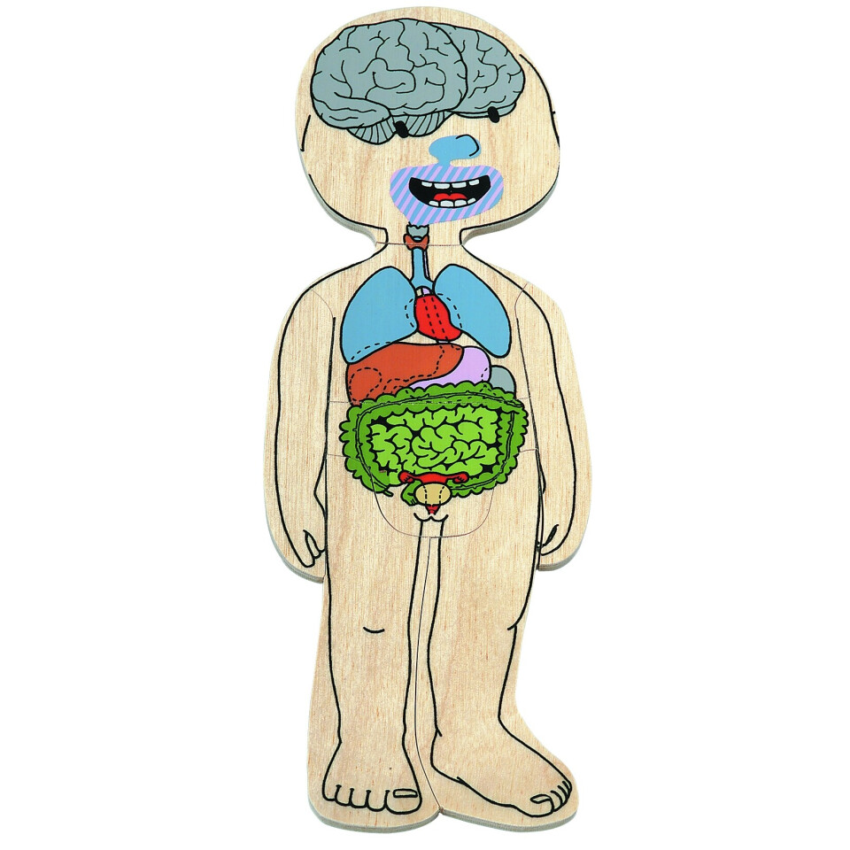 Your Body Boy