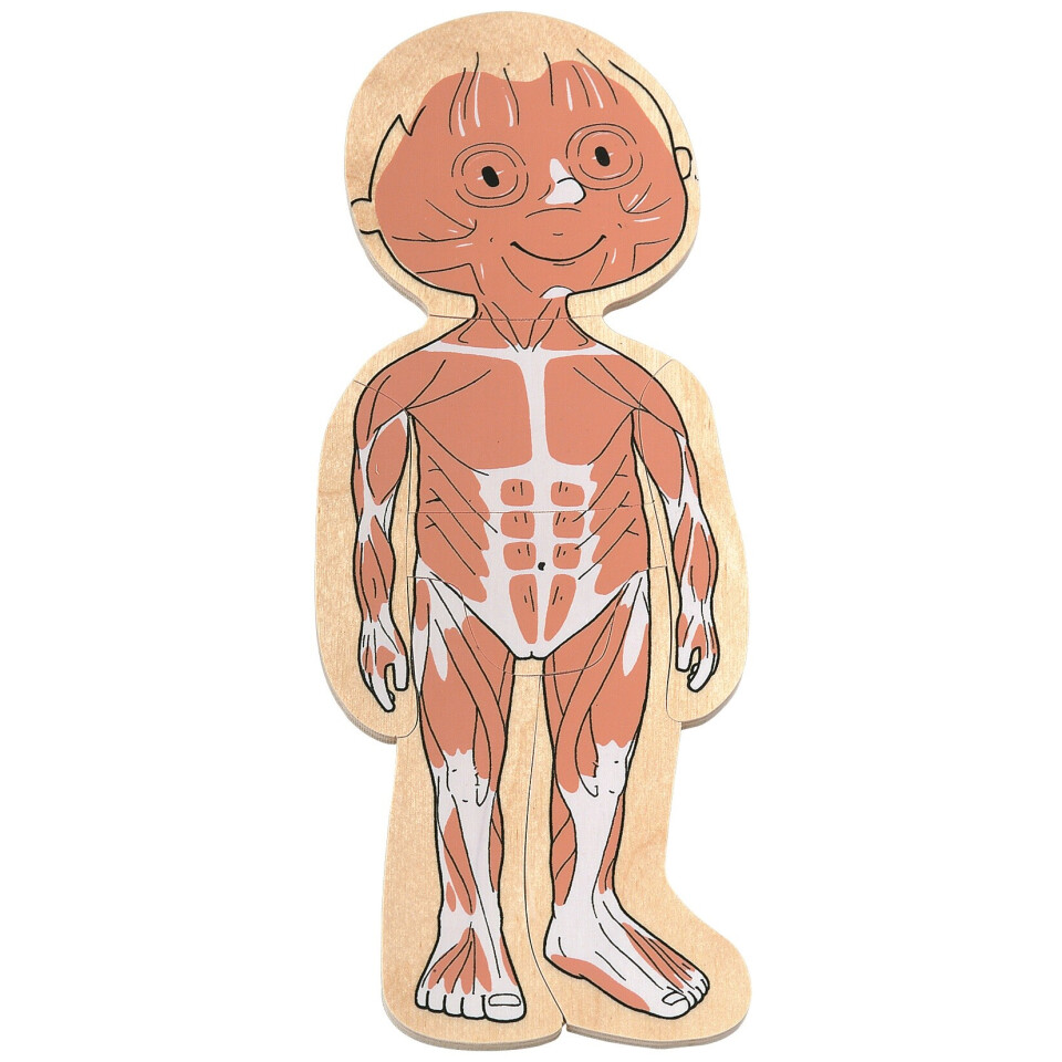 Your Body Boy