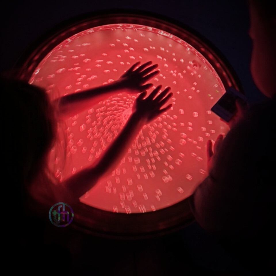 Round Bubble Table - Colourful Sensory Toy