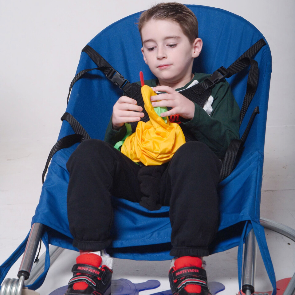 Bouncing Chairs - FREE SHIPPING ALL SIZES