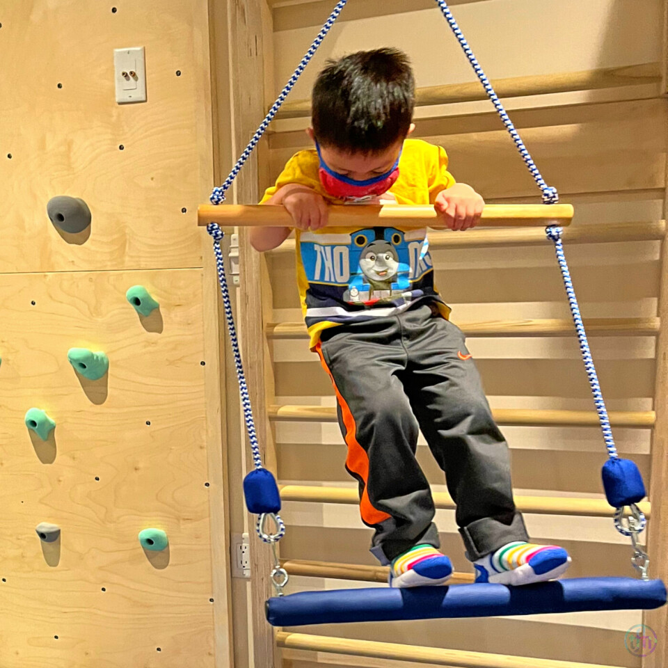 Double Trapeze Bar