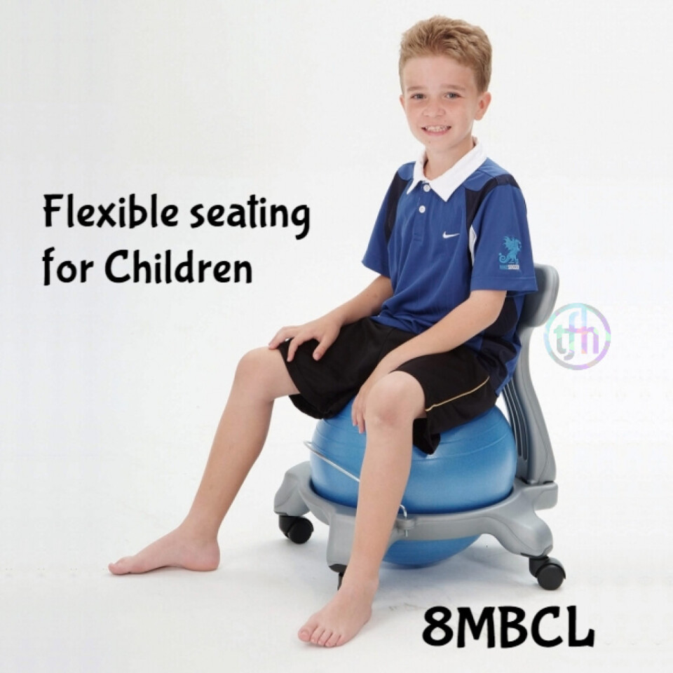  Large Bounce Chair