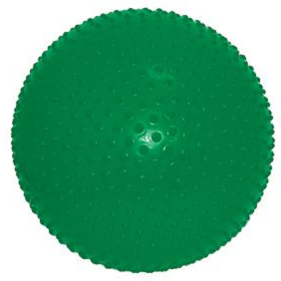 Sensi Exercise-Ball - LIMITED SUPPLY