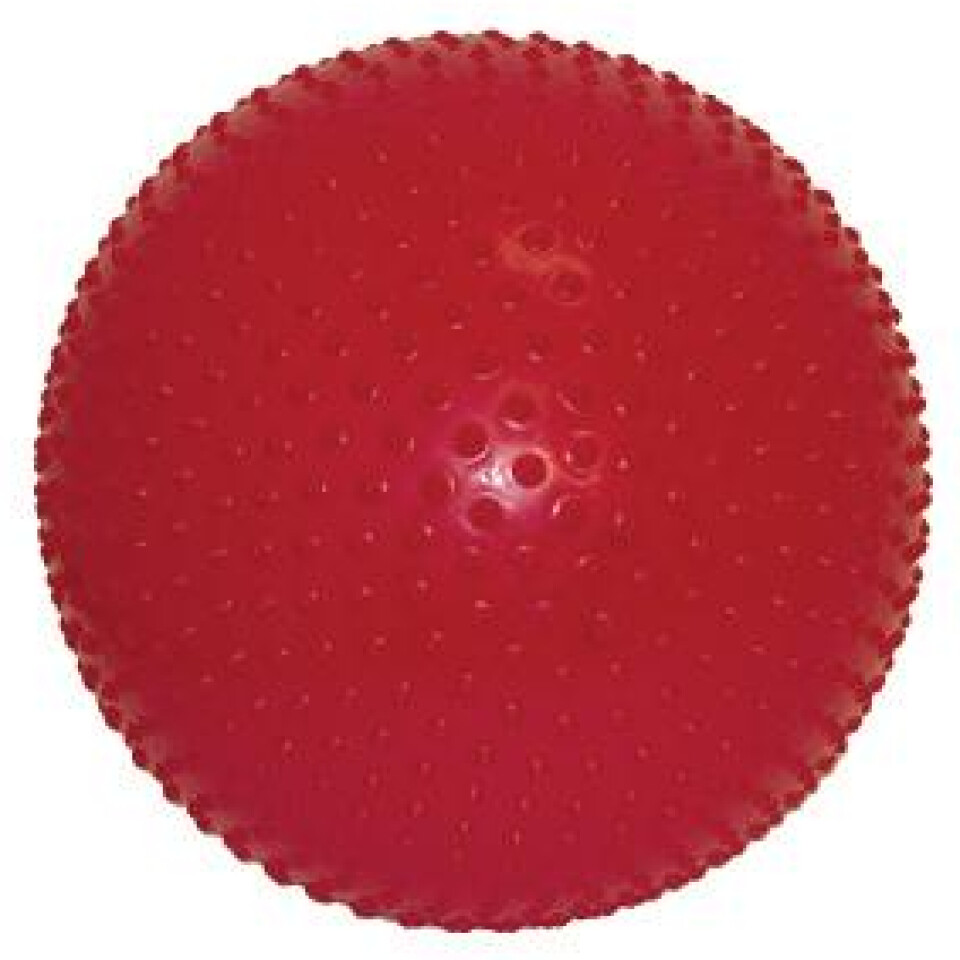 Sensi Exercise-Ball - LIMITED SUPPLY