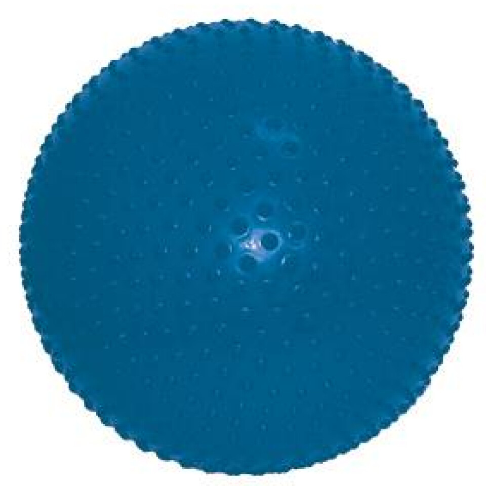 Sensi Exercise-Ball - LIMITED SUPPLY