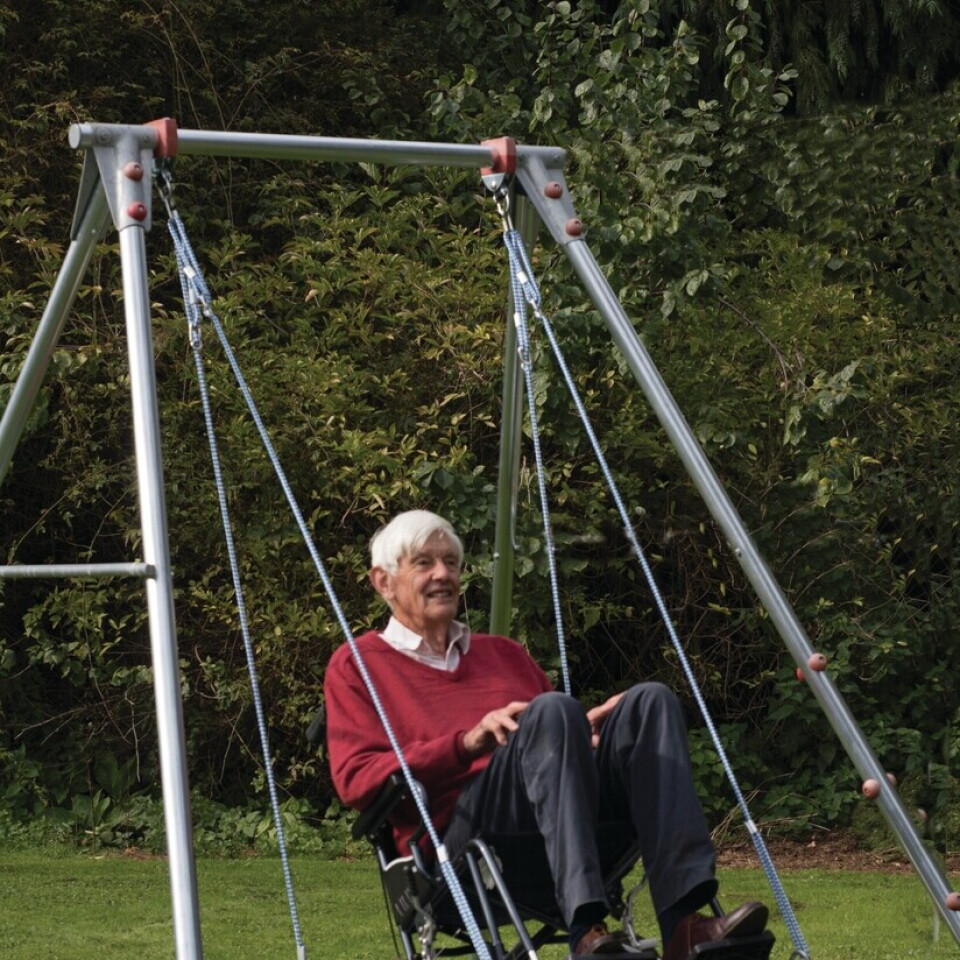 Wheelchair Platform Swing & Frame