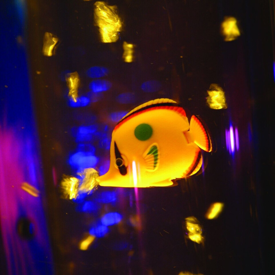 8  Bubble Tube Fish