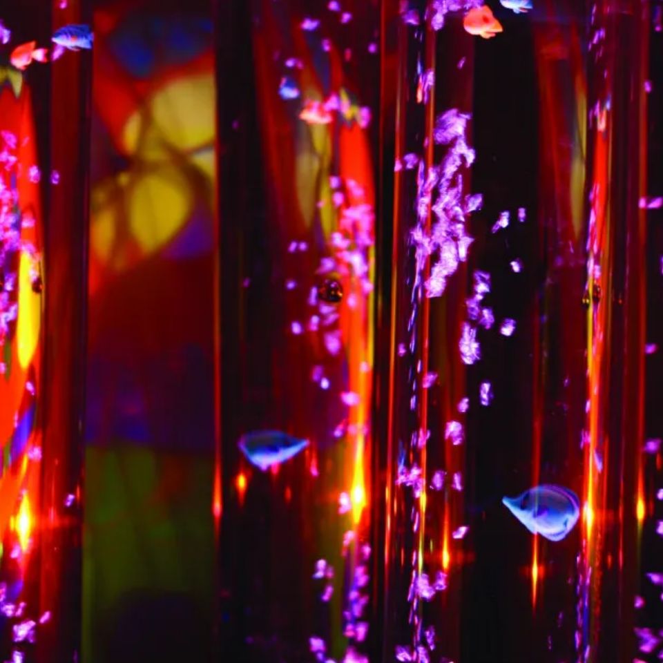8  Bubble Tube Fish