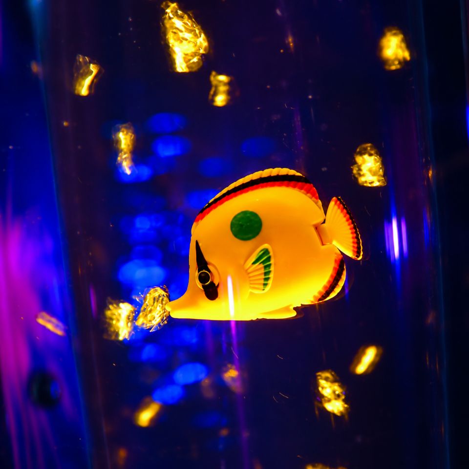 8  Bubble Tube Fish