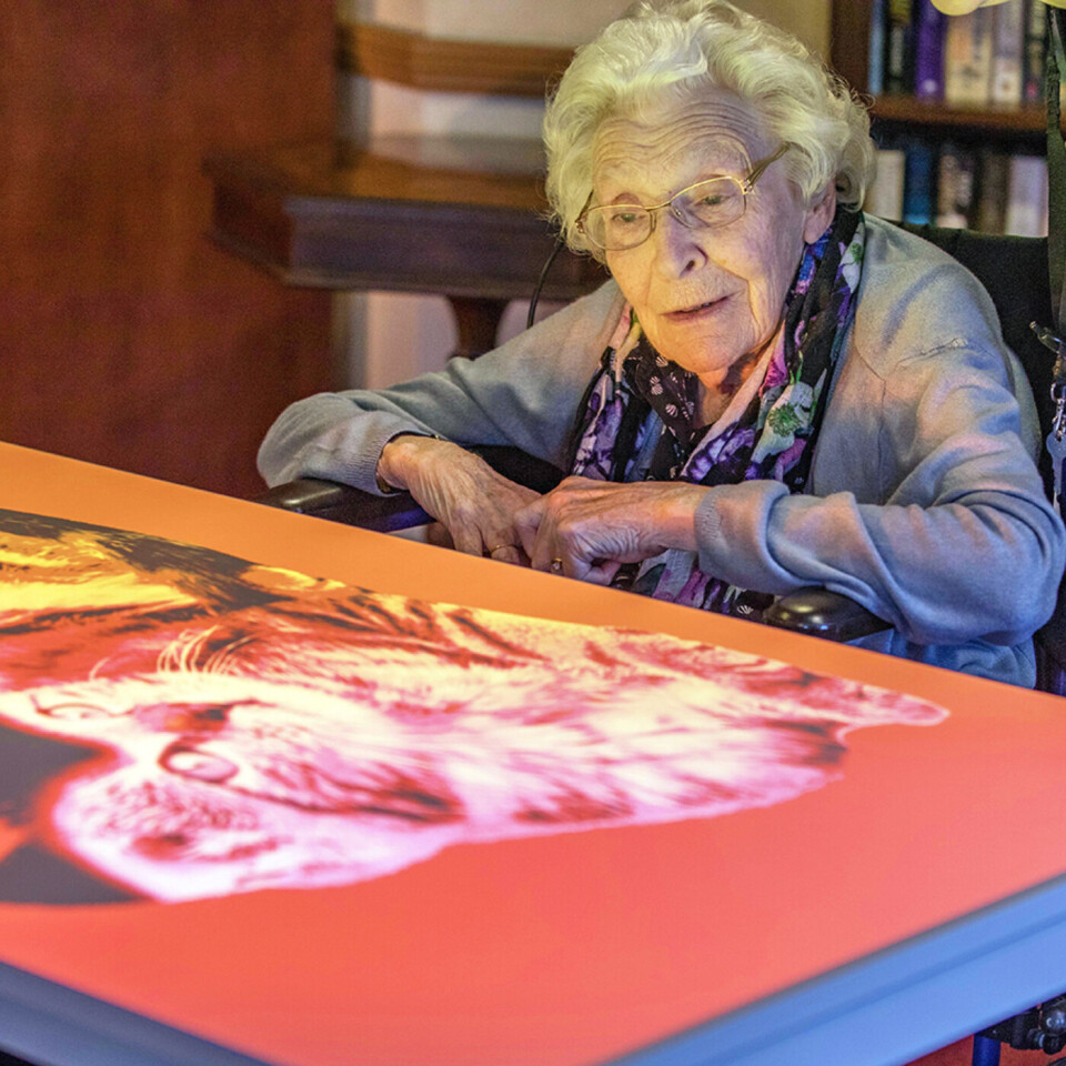 Budii Eldercare Interactive Activity Projector Unit