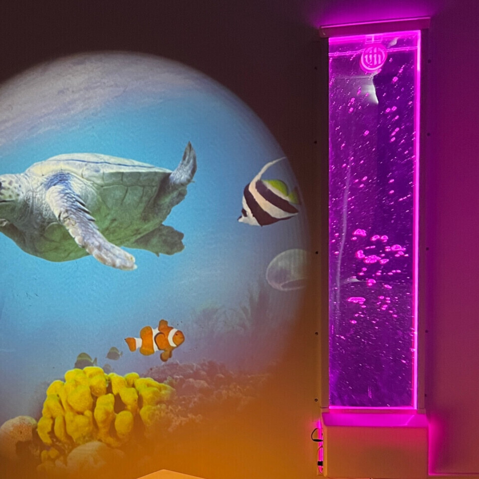 Bubble Wall 60"