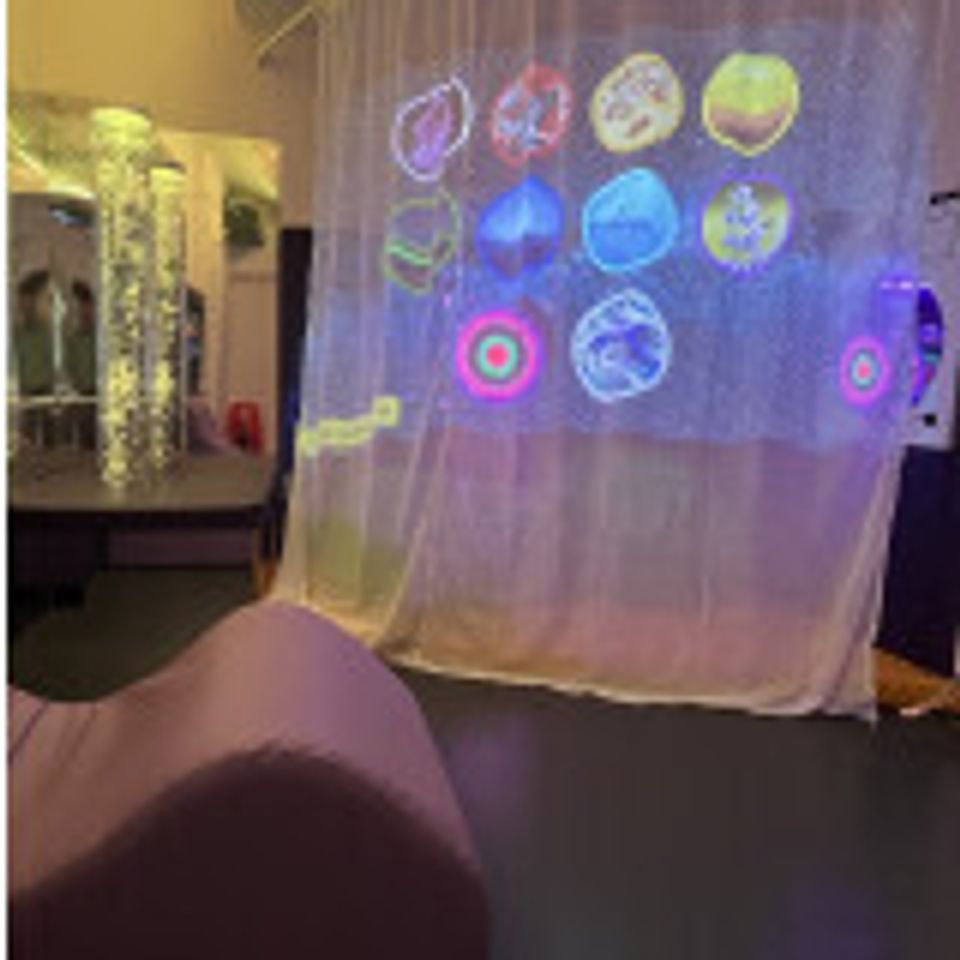 Chromatheme Sensory Projection System