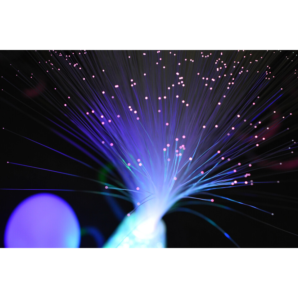 Switch Adapted Fiber Optic Plume 
