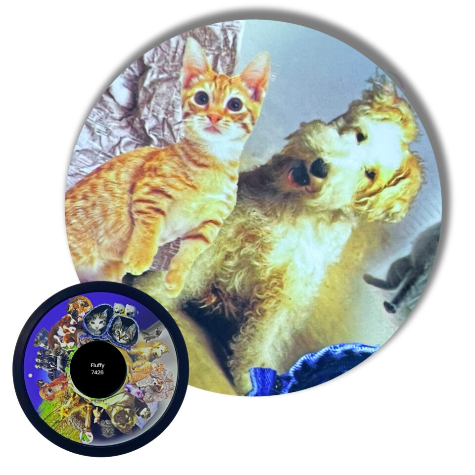 Projector Wheel, Soft Fluffy Pets