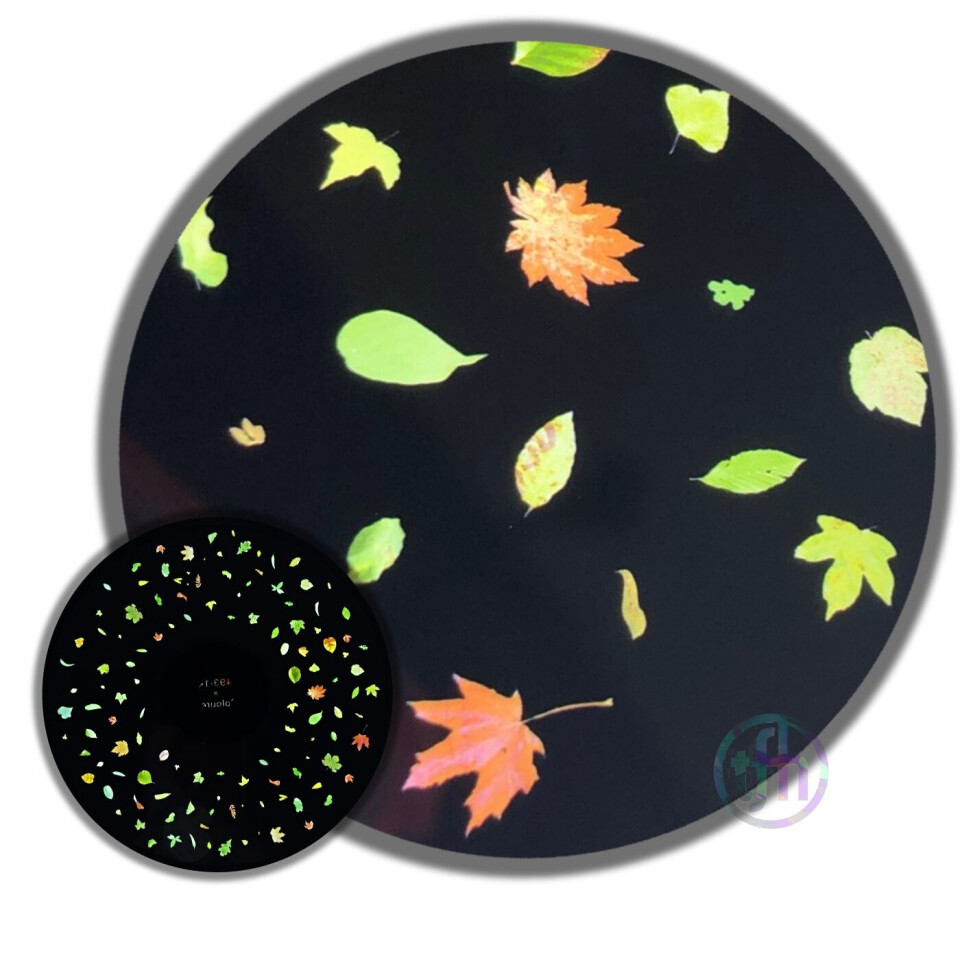 Coloured Leaves