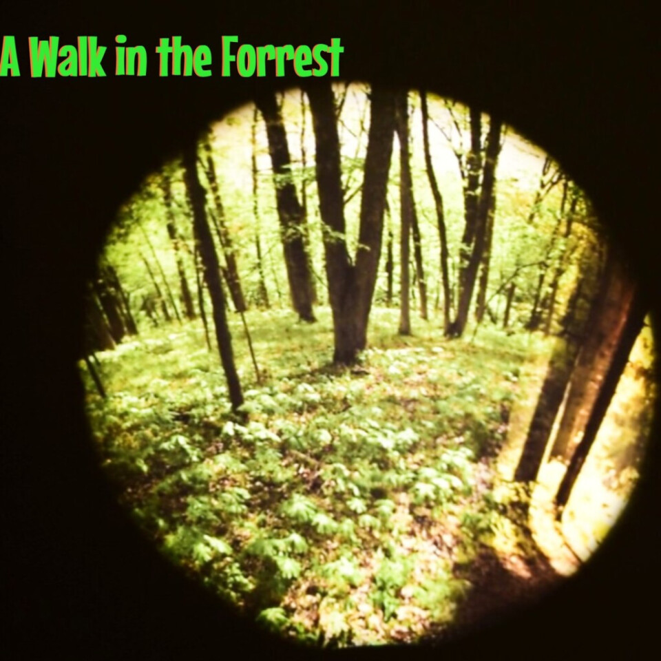 Projector Wheel, Seasonal Forest