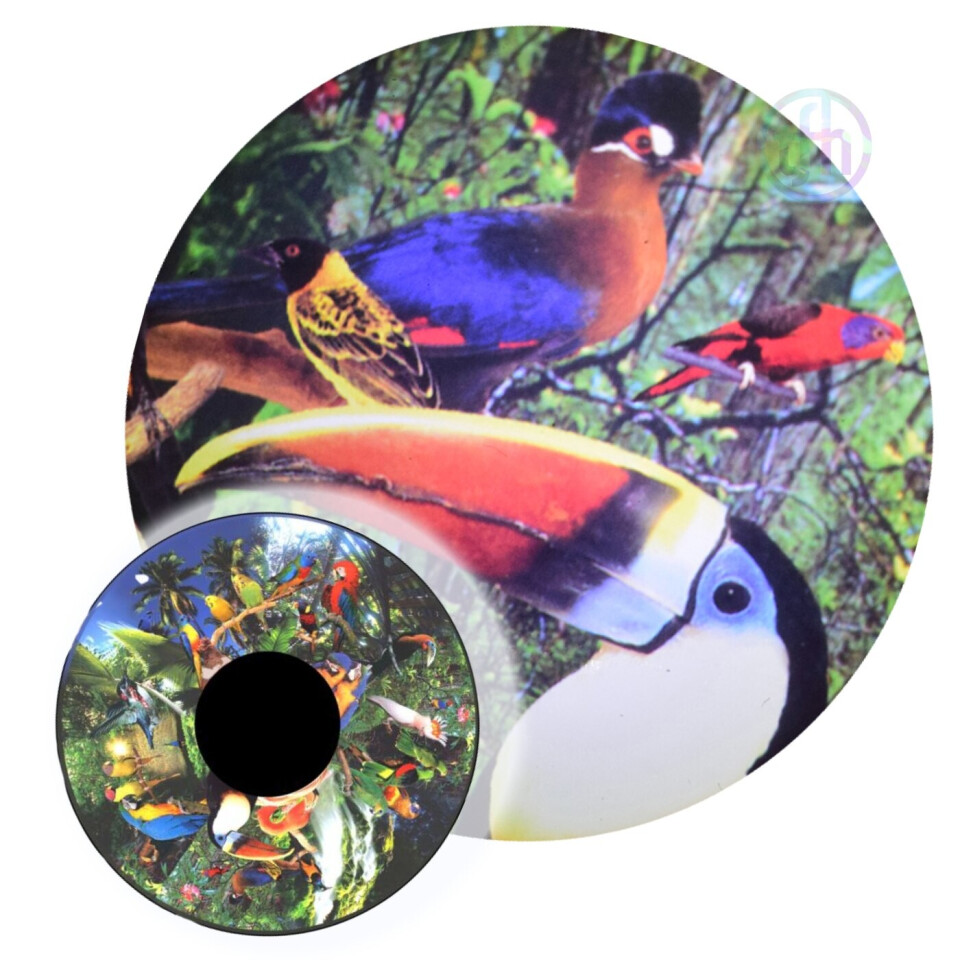 Tropical Birds - 6 Inch Projector Wheel