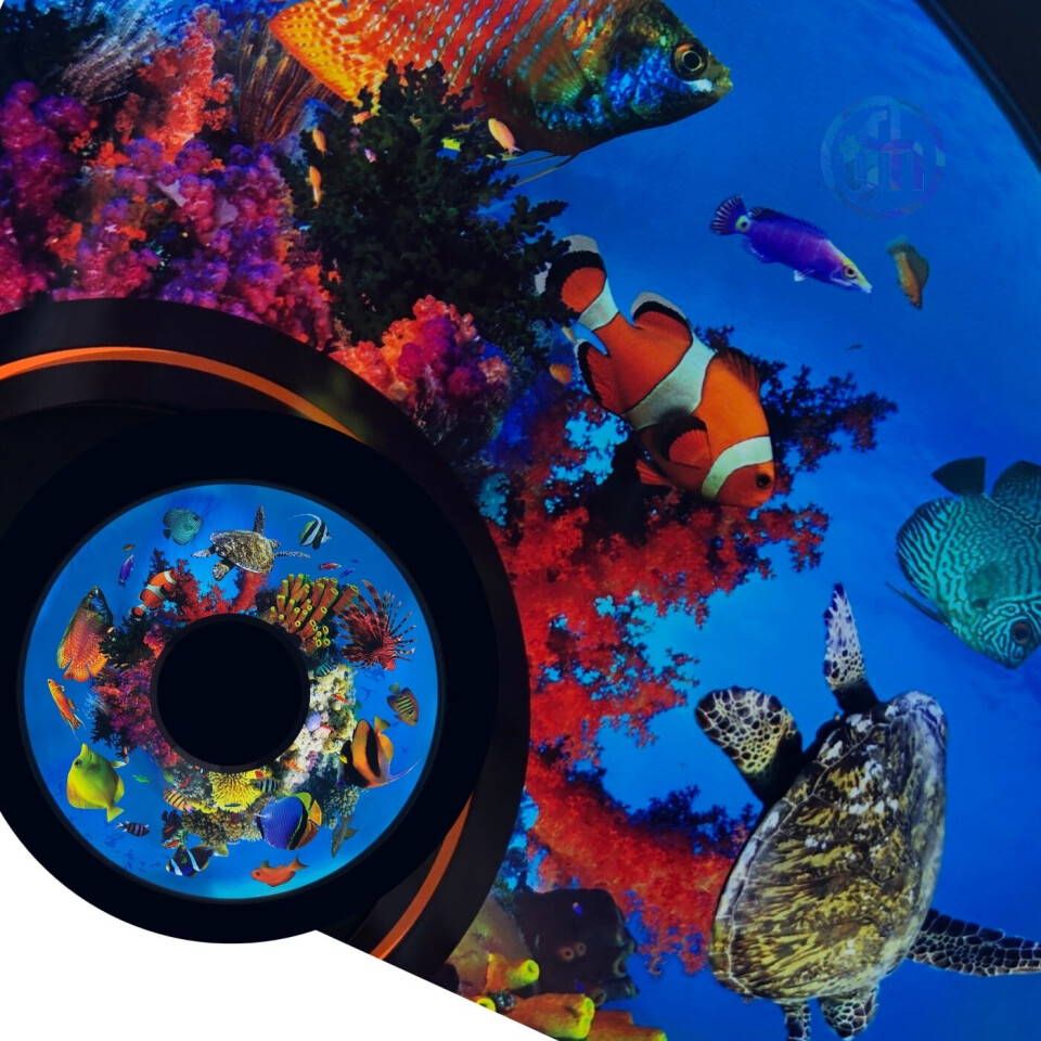Effects Wheel, Tropical Fish