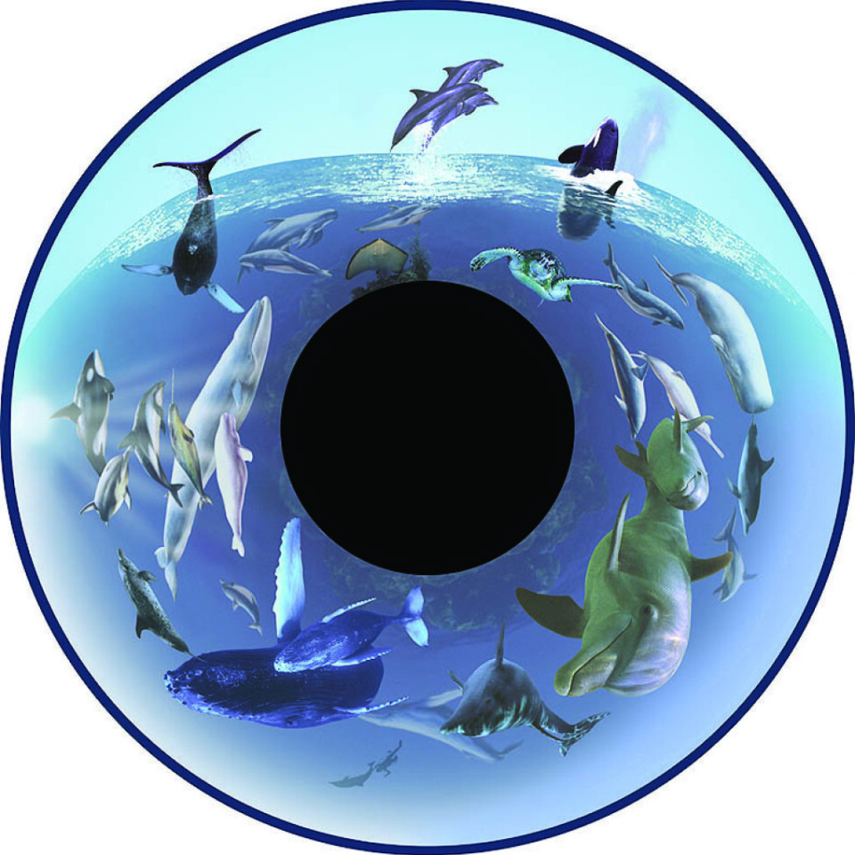 Solar Projector Wheels: Whales & Sealife Wheel  