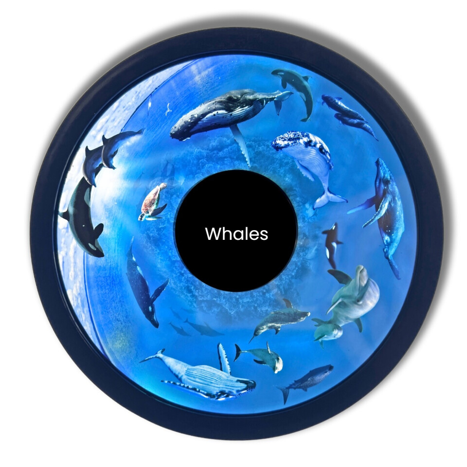Projector Wheel, Whales & Sealife