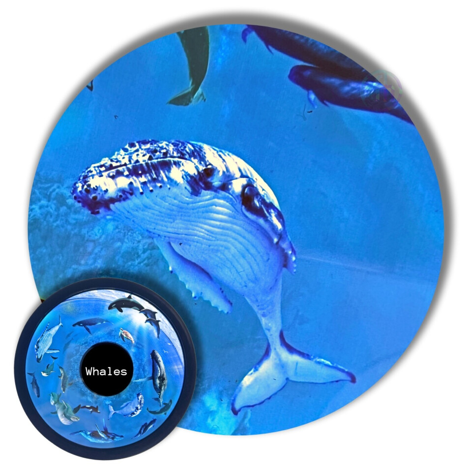 Projector Wheel, Whales & Sealife