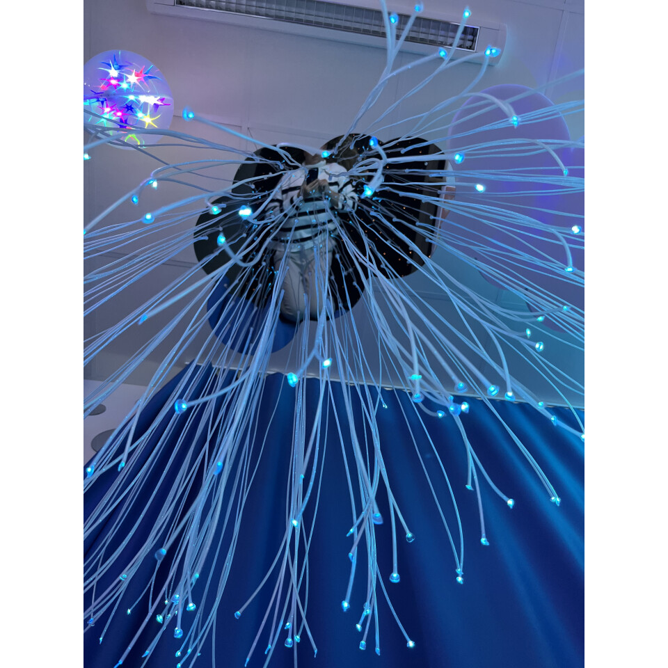 Spegelfäste till fiberoptik - Moln