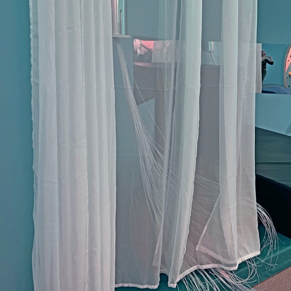 Projection Curtain