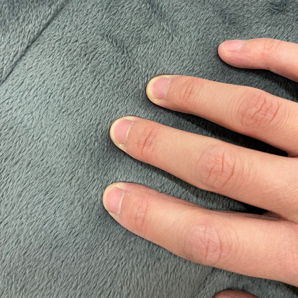 Heated Massage Mat