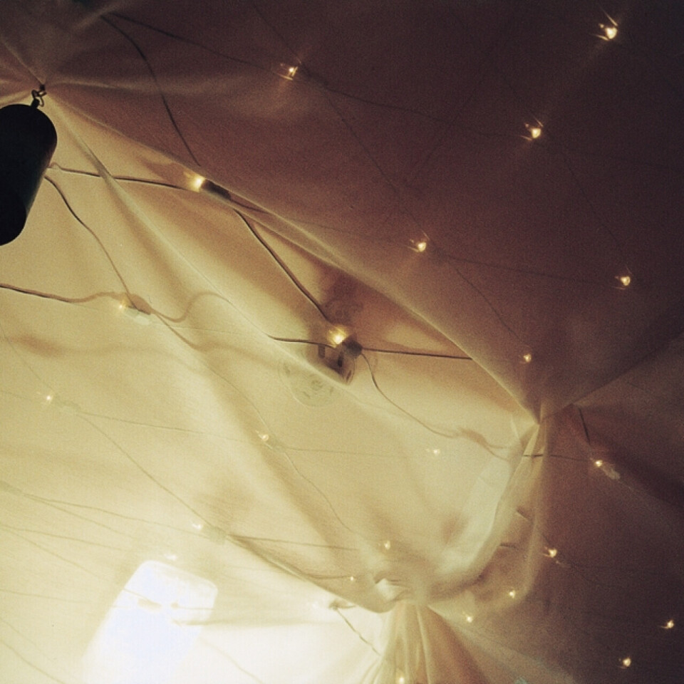 Star Net Light with Universal Plugs