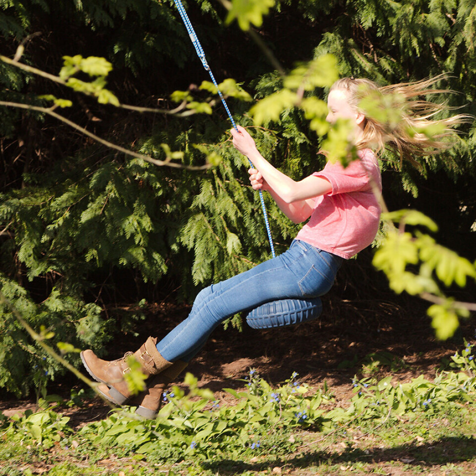 Monkey Swing Seat