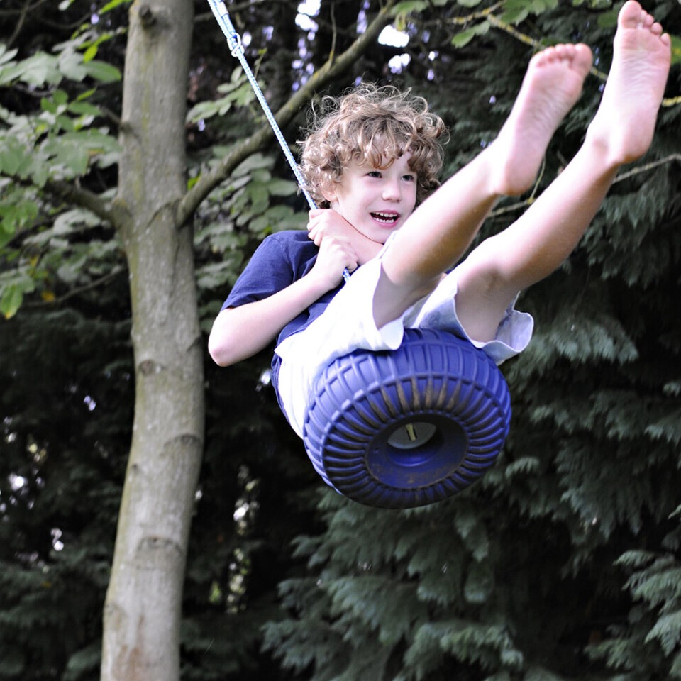 Monkey Swing Seat